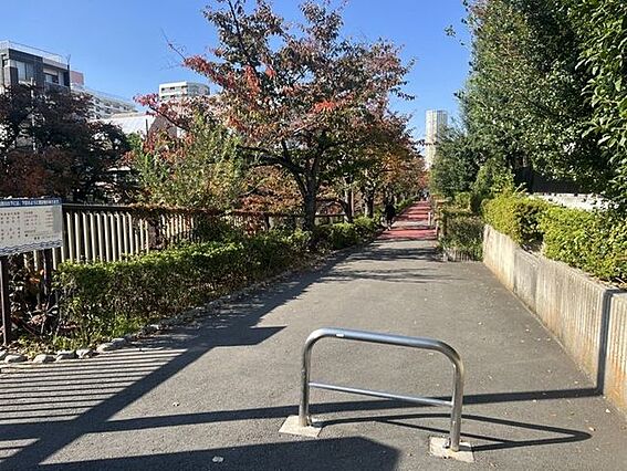 目黒川緑道沿い...