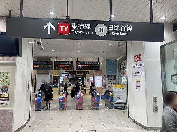 周辺を拡大表示