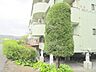 その他：植栽