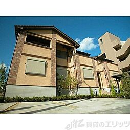 アネスティコート