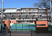 豊島区立池袋第三小学校（501m）