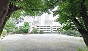 新宿区立花園小学校（789m）