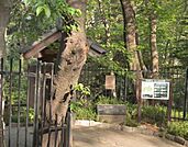 おとめ山公園（465m）