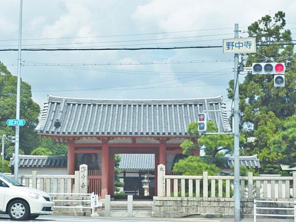 画像24:【寺院・神社】野中寺まで2296ｍ