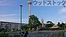 周辺：木の公園 徒歩4分。 270m