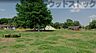 周辺：都立高井戸公園 徒歩20分。 1530m