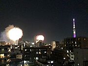 リビングダイニング・洋室2からの眺望隅田川花火