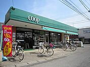 ユーコープ菅店 1229m