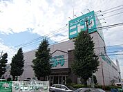 ニトリ府中店 徒歩9分。ホームセンター 700m