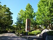 東京薬科大学 1900m