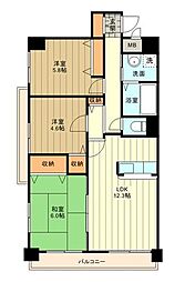 ラフィネ立川 3LDKの間取図画像