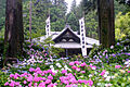 妙法寺まで80...