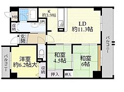 フレスコ21 6階/-