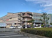 その他「オークワパームシティ様まで1800m」