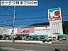 周辺：その他「オークワ様まで930m」