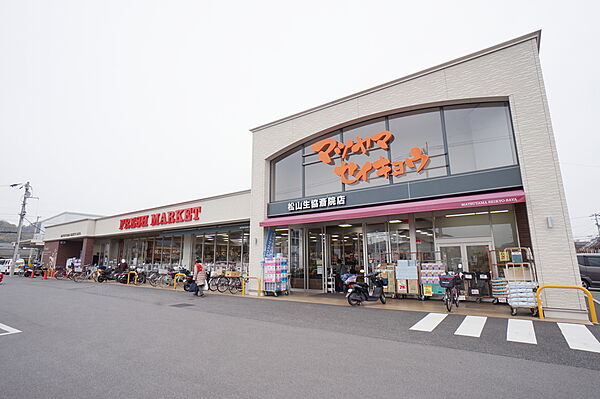 メゾン生石 402 号室｜愛媛県松山市生石町(賃貸マンション2LDK・4階・43.20㎡)の写真 その30