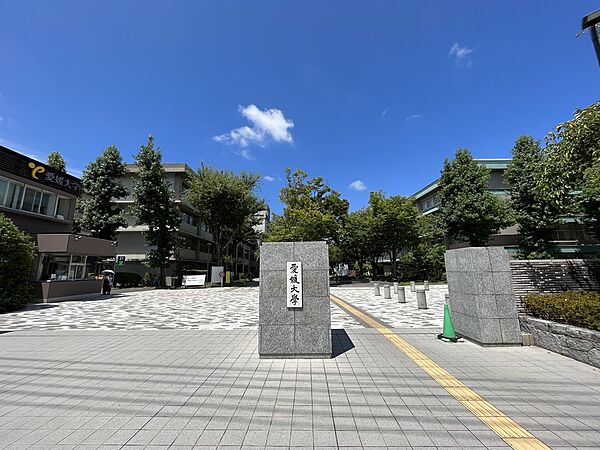 カローラ東雲 307 号室｜愛媛県松山市東雲町(賃貸マンション1R・3階・27.80㎡)の写真 その13