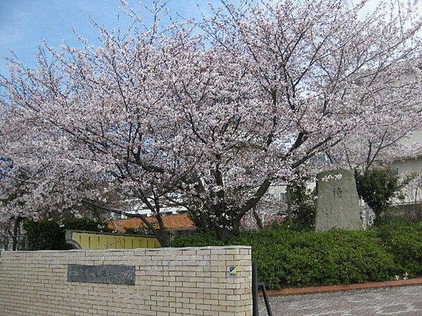 セジュール一色 C201 号室｜愛媛県松山市北斎院町(賃貸アパート2LDK・2階・53.68㎡)の写真 その24