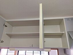 ファインコート