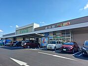 フジ志津川店