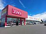 周辺：ディスカウントドラッグコスモス 東温店