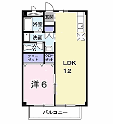 スプリングヒルズ21 1LDKの間取図画像
