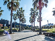 明海の丘公園（447m）