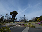 弁天ふれあいの森公園（519m）
