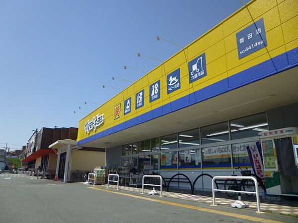 画像19:マツモトキヨシ 磐田店（203m）