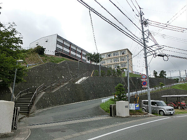 画像20:浜松市立入野中学校（413m）