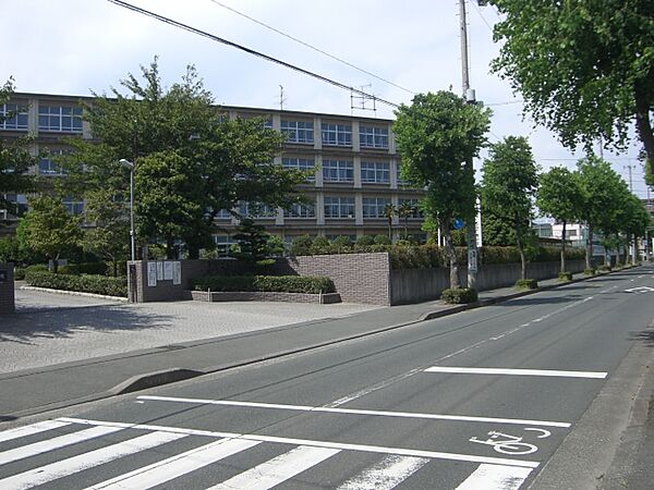 画像20:浜松市立開成中学校（217m）