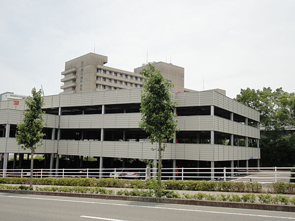 浜松医科大学医学部附属病院（1062m）