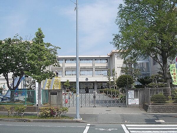 画像15:富士見小学校まで500m