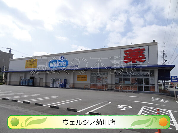画像23:Welcia（ウエルシア） 菊川加茂店（538m）