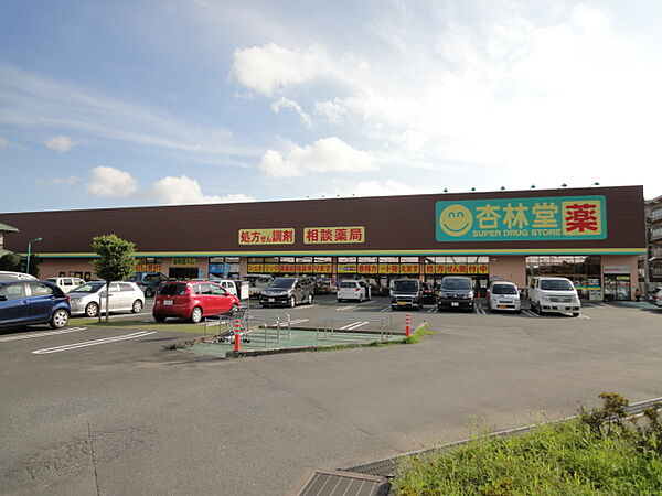画像17:杏林堂薬局 スーパードラッグストア姫街道店（857m）