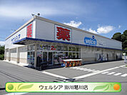 Welcia（ウェルシア） 掛川葛川店（909m）