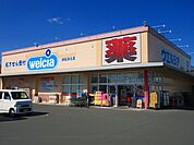 ウエルシア　浜松浜北店（648m）