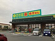 杏林堂ドラッグストア 岩井店（1540m）