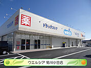 ウエルシア菊川小笠店（388m）