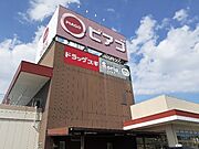 ピアゴ上岡田店まで1100m