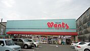 ドラックストア「ウォンツ中広通り店まで360ｍ」