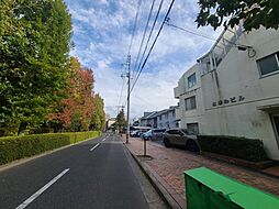 🉐敷金礼金0円！🉐BAUHAUS南千田町（ときわビル）