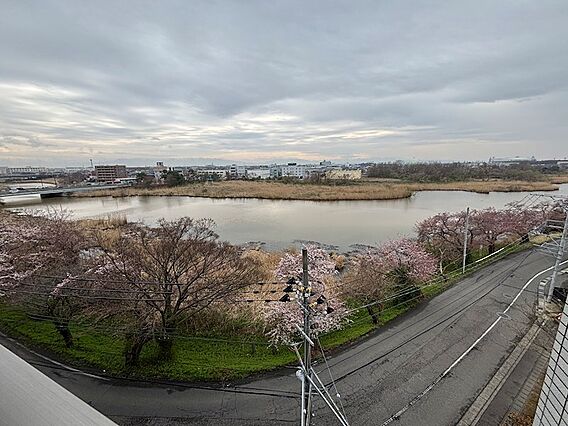 鳥屋野潟が見渡...