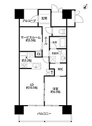 ダイアパレス白山(203) 1SLDKの間取図画像