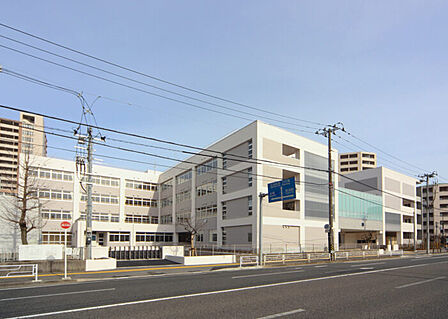 新潟市立南万代小学校(523m)