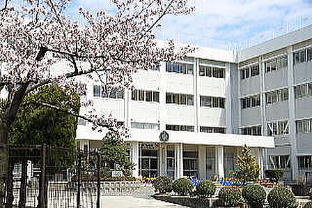 新潟市立東青山小学校(1013m)