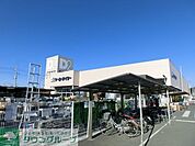 ケーヨーデイツー 徒歩10分。ホームセンター 770m