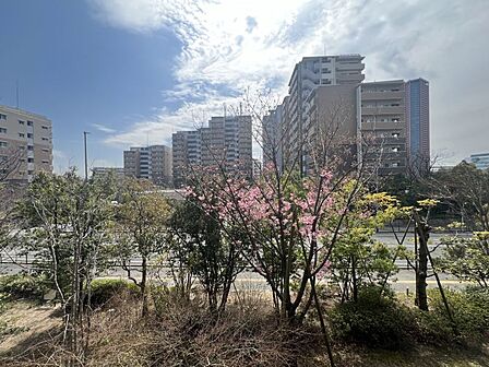 周囲の緑や静かな住宅街が見える穏やかな眺望!窓を開けて気持ち良く過ごせます♪