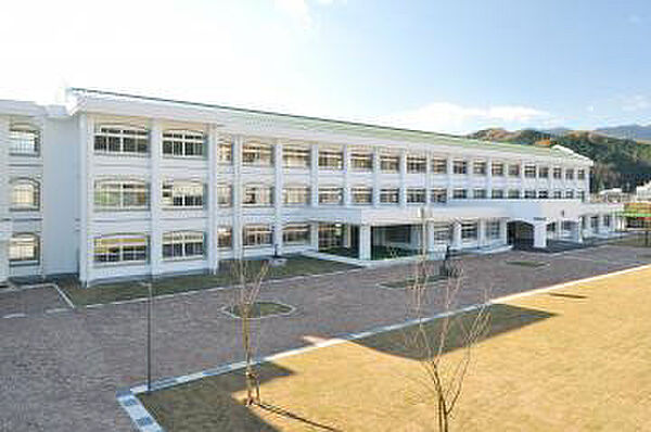 画像28:生野中学校