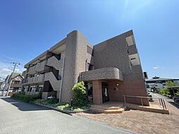 グレイス・セイバリー